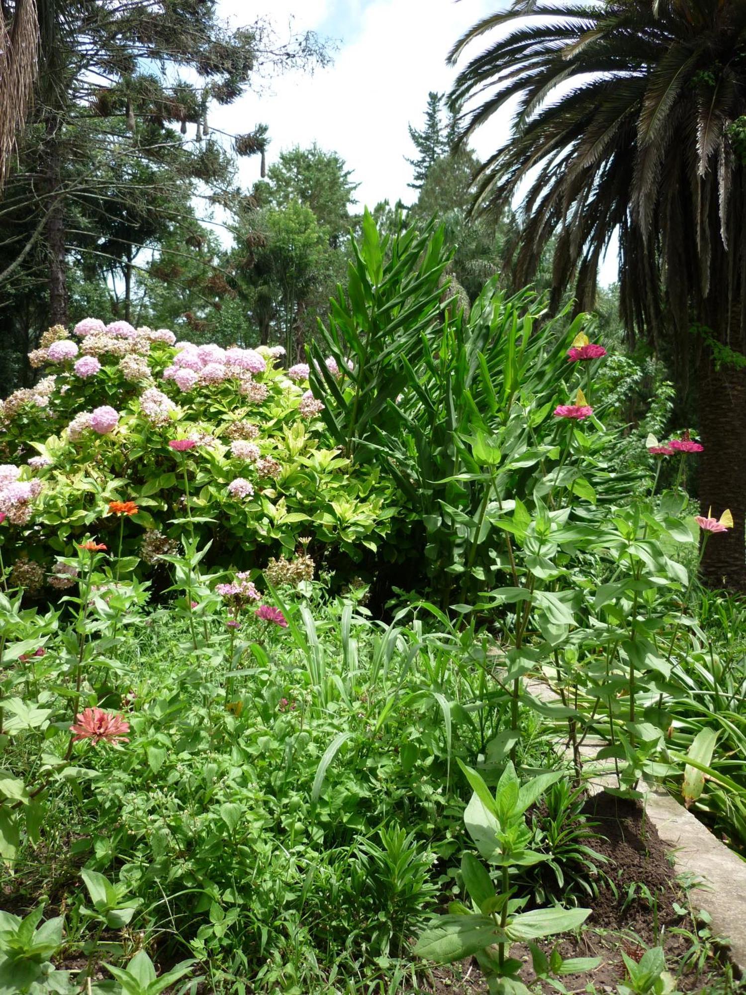 Finca La Colorada San Salvador de Jujuy Værelse billede